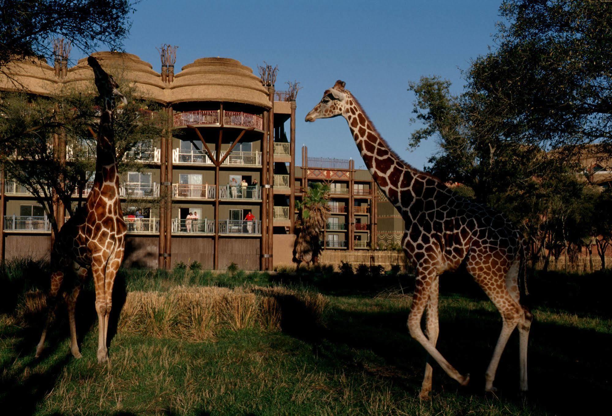 Disney'S Animal Kingdom Villas - Kidani Village Lake Buena Vista Exterior foto